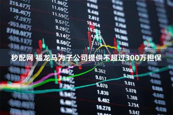 秒配网 福龙马为子公司提供不超过300万担保