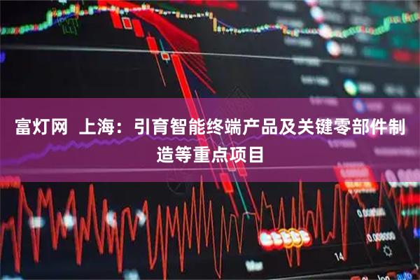 富灯网  上海：引育智能终端产品及关键零部件制造等重点项目