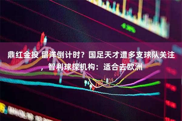 鼎红金投 留洋倒计时？国足天才遭多支球队关注，智利球探机构：适合去欧洲